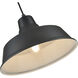 R Series 1 Light 14 inch Satin Black Indoor Pendant Ceiling Light